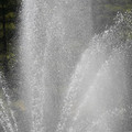 DSC02287.JPG