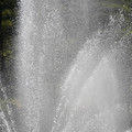 DSC02288.JPG