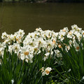DSC02289.JPG