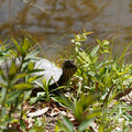 DSC02291.JPG