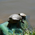 DSC02292.JPG