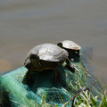 DSC02293.JPG