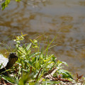DSC02295.JPG