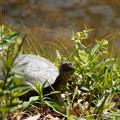 DSC02298.JPG
