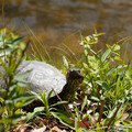DSC02299.JPG