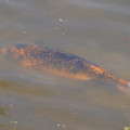DSC02301.JPG