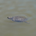 DSC02304.JPG