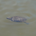 DSC02305.JPG