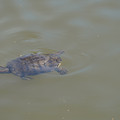DSC02308.JPG