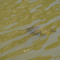 DSC02309.JPG