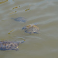 DSC02314.JPG