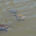 DSC02315.JPG