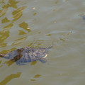 DSC02316.JPG