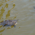 DSC02317.JPG