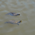 DSC02318.JPG