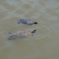 DSC02319.JPG