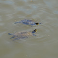 DSC02320.JPG