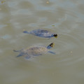 DSC02321.JPG