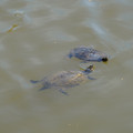 DSC02322.JPG