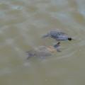 DSC02323.JPG
