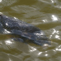 DSC02324.JPG
