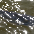 DSC02325.JPG