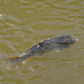 DSC02328.JPG