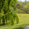 DSC02335.JPG