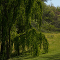 DSC02336.JPG