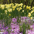DSC02337.JPG