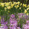 DSC02338.JPG