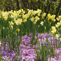 DSC02339.JPG