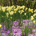 DSC02340.JPG