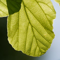 DSC02351.JPG