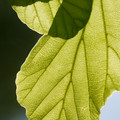 DSC02355.JPG