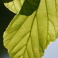 DSC02358.JPG