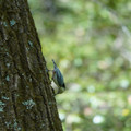 DSC02373.JPG