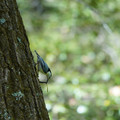DSC02374.JPG