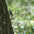 DSC02375.JPG