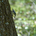 DSC02376.JPG
