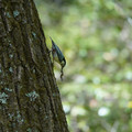 DSC02377.JPG