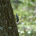DSC02378.JPG