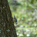 DSC02379.JPG