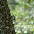 DSC02380.JPG