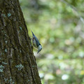 DSC02381.JPG