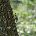 DSC02382.JPG