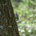 DSC02383.JPG
