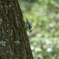 DSC02384.JPG