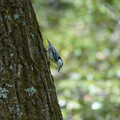 DSC02385.JPG