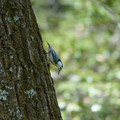 DSC02386.JPG